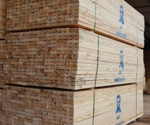2x3 8ft Pine Battens