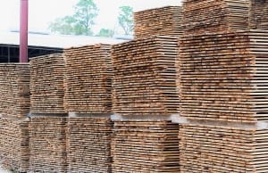 Green lumber waiting for the Kiln