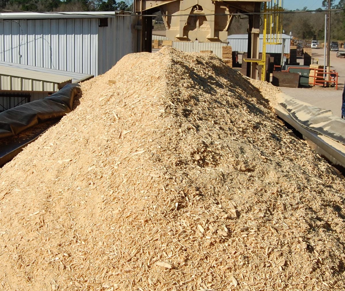 SYP Wood Shavings