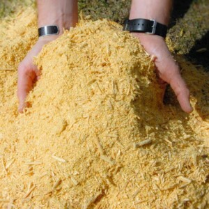 SYP Wood Chips